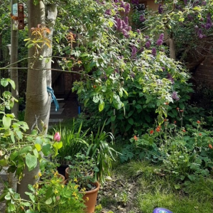 Ogezlaan Lier Guy en Tinne