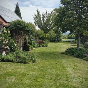 Kerckhofs_Schepdaal