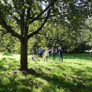 buurtboomgaard Zwijndrecht