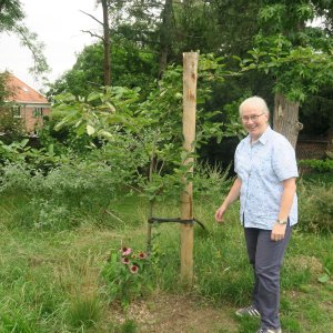 Voedselbos van de hoop