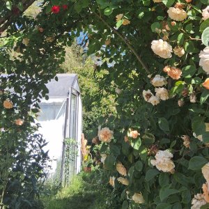 Tuin Jan Vannoppen