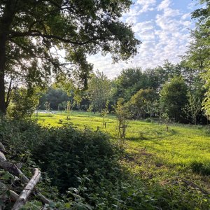 Voedselbos De Gagelvelden
