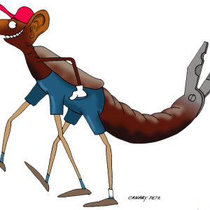 Oorworm