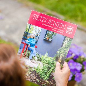 Seizoenen