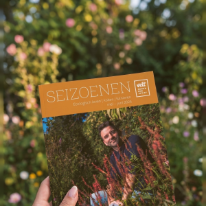 Seizoenen