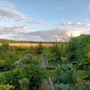 Zevenmeers Zeven Sellingen