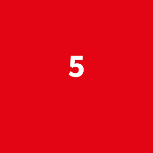 5 leefstijlen
