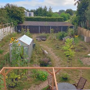 Voedselbos_Older 2_Tom Vermeulen