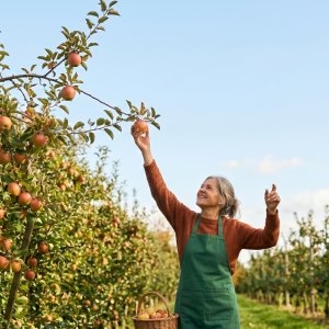 Vrouw in boomgaard