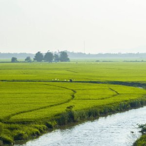 rivier