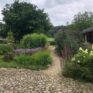 Wendies tuin_passie voor kruiden