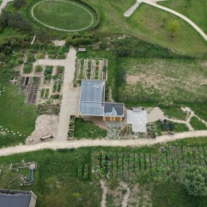 Buizerdtuin