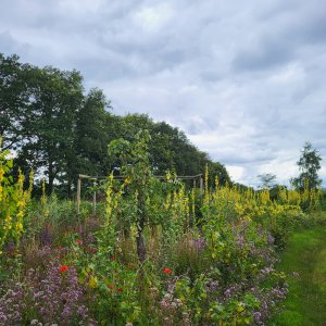 Wildernij_Annick
